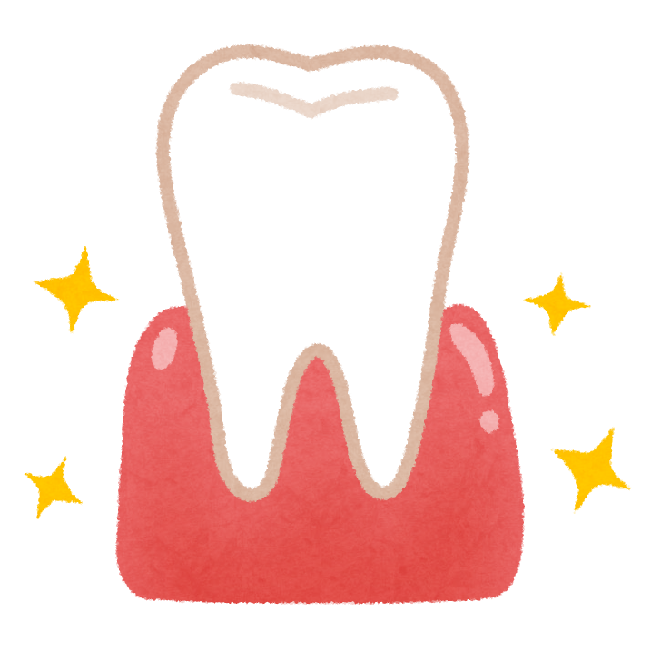 歯茎の健康状態について